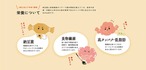 【期間限定】先着19名様50％OFF　なっと肉2パック　(￥540+送料別)
