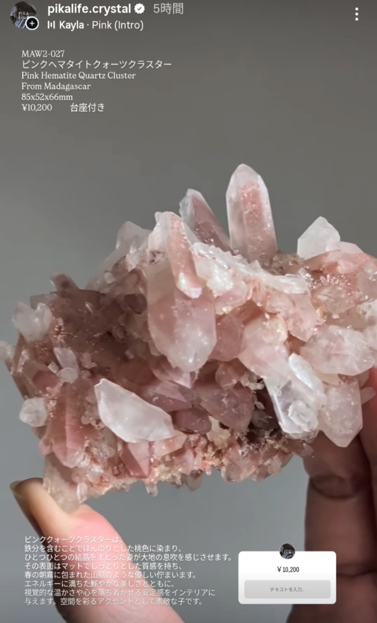 ⭔ お客様専用ページ ⭔ kin_tan.09様　