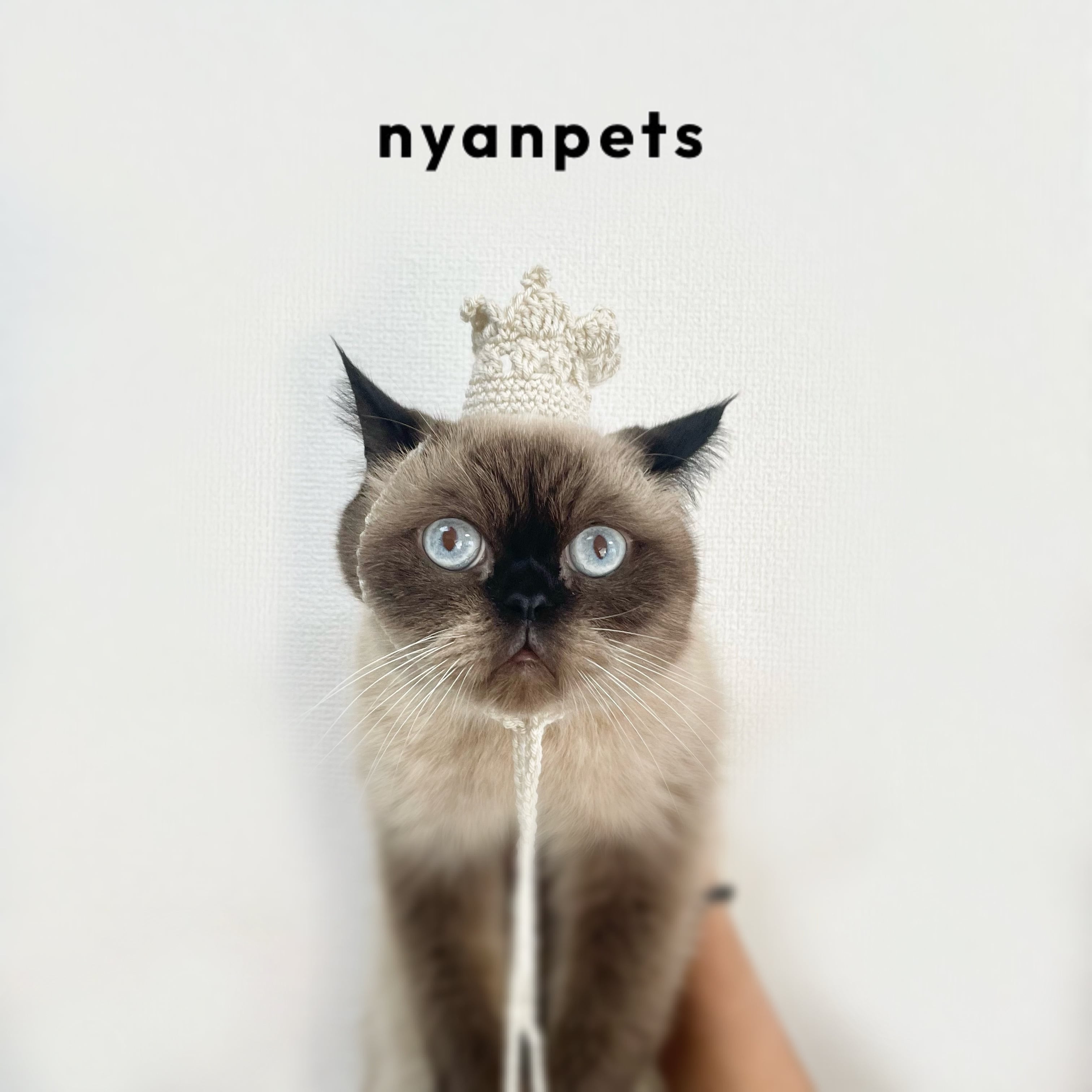 もぐ ※プロフィール読んでください！様オーダー 猫耳ニット帽 もぐ