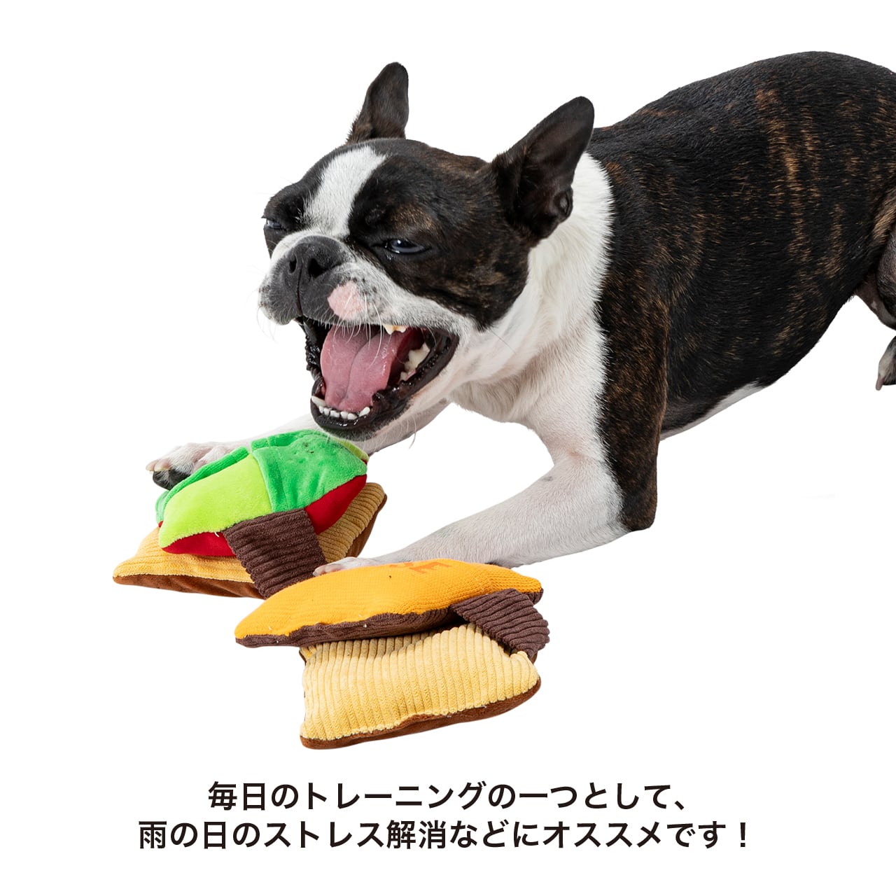 PANEL BURGER パネルバーガー | MANDARINE BROTHERS マンダリン
