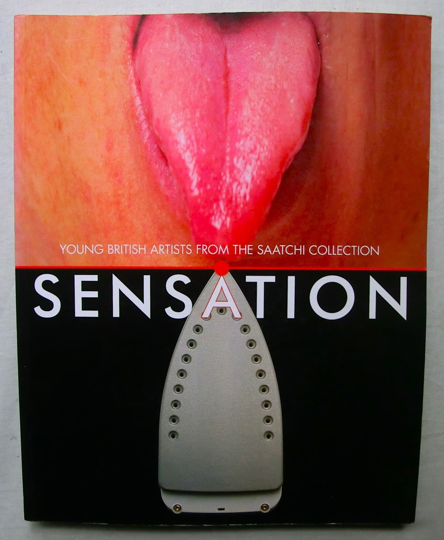 ヤング・ブリティッシュ・アーティスト Sensation YBAs ダミアン