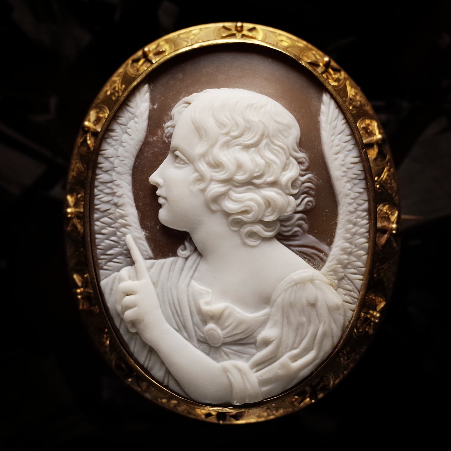 シェルカメオ | Cameo Erynceleblas