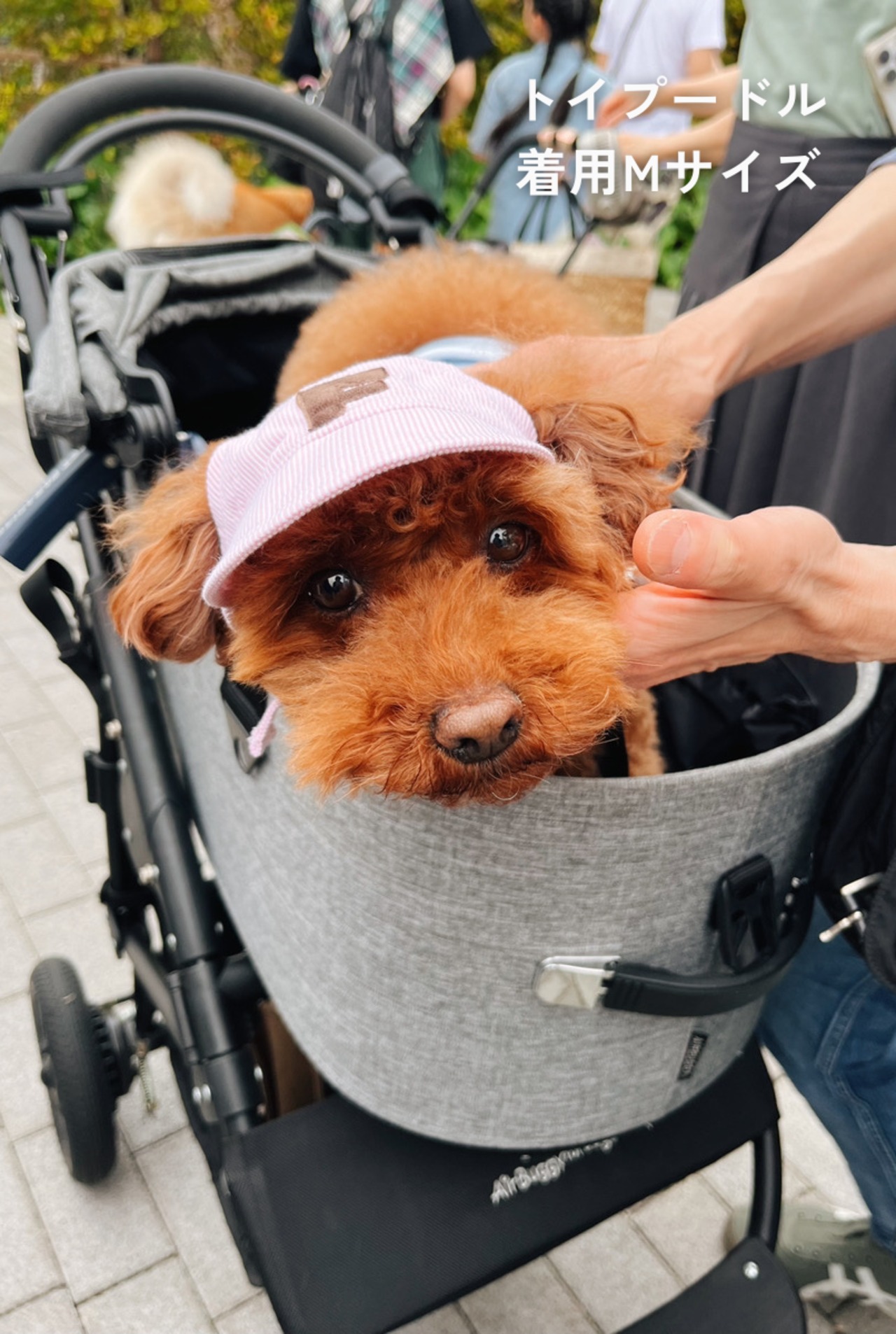 NiceDay Cap（Blue Stripe）