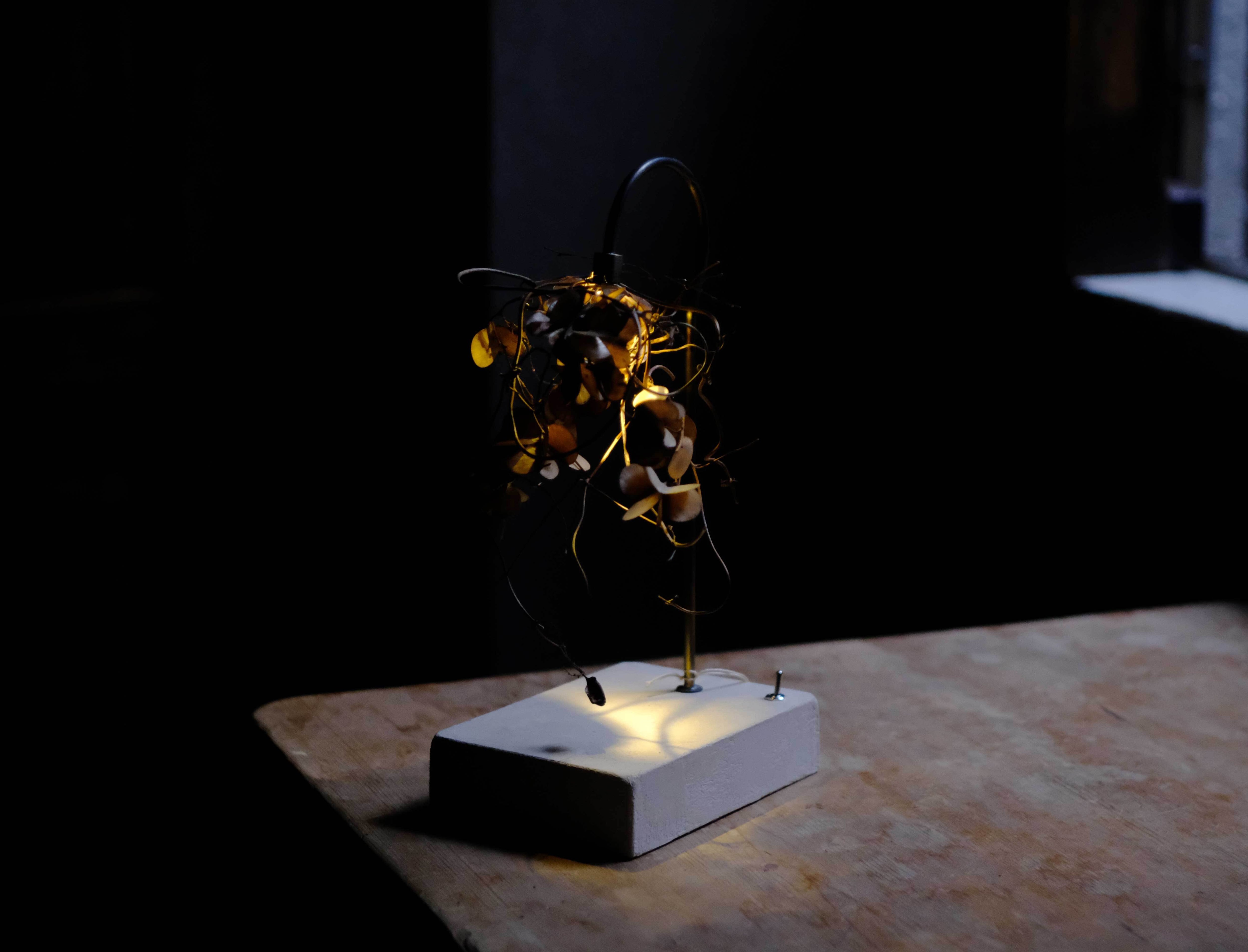 自然素材のコーン型 ライトオブジェ【作家作品：一点物】 The FINAL EXHIBITION] 森の小さな灯 no.23 自然薯 L size | はいいろ