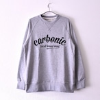 carbonic ARCH logo sweat