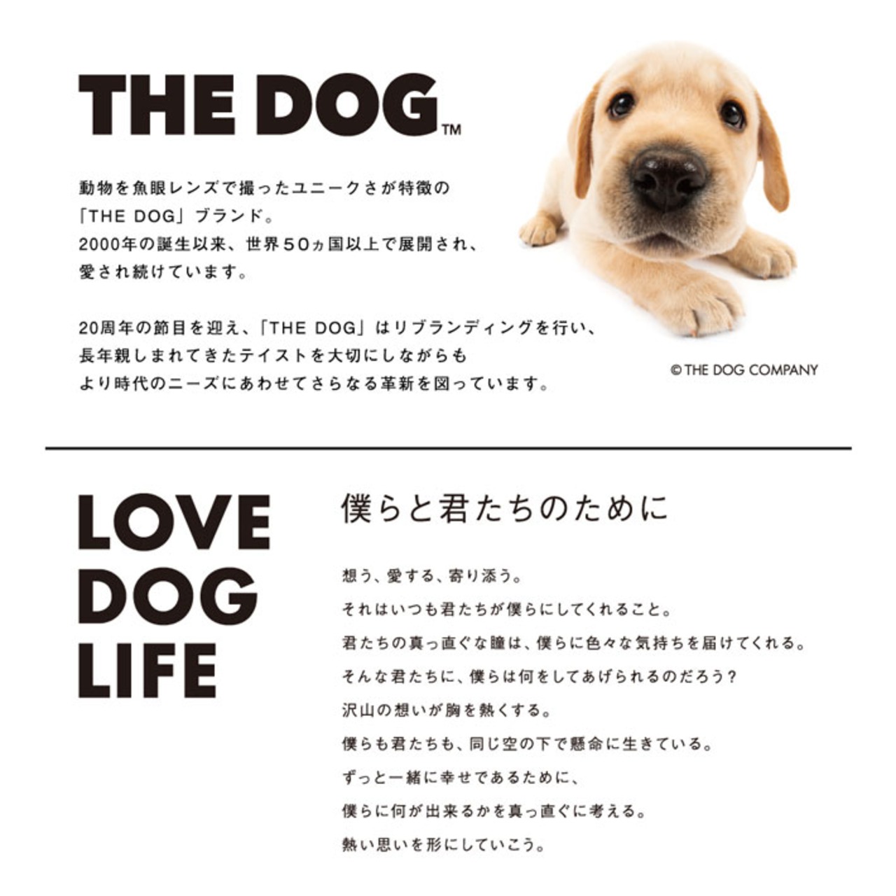 【受注生産】のれん THE DOG ブルドッグ 幅85×丈150cm　21838