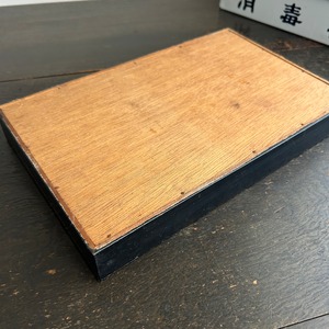 1950年代　眼科用結膜炎模型　