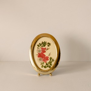 Dry Flower Art in Brass Frame (Pink)