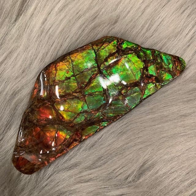 アンモライト 欠片 ドラゴンスキン アンモライト 欠片 ドラゴンスキン