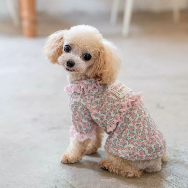 【予約】ピンクフラワーとフリルのトップス　犬服　01332