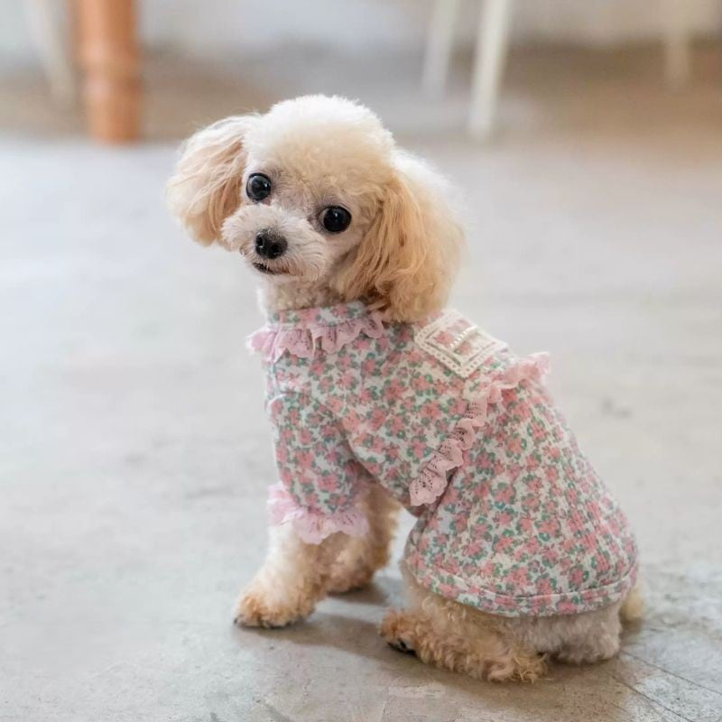 【予約】ピンクフラワーとフリルのトップス 犬服 01332