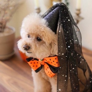 予約販売　Halloween Party set（cape ＋hat）ハロウィン　韓国ブランドwitiwiti"