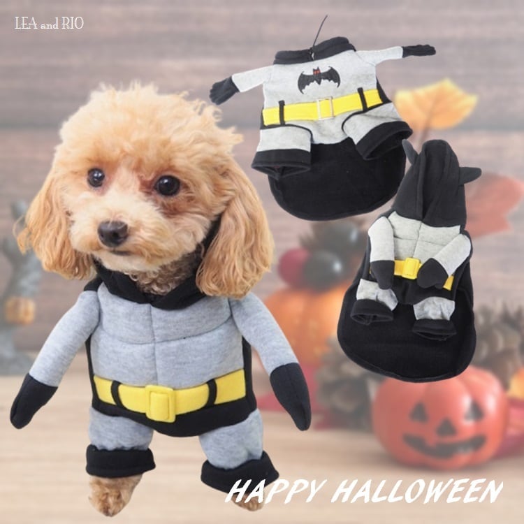 c157319239d7346ce554b1e8d726e3