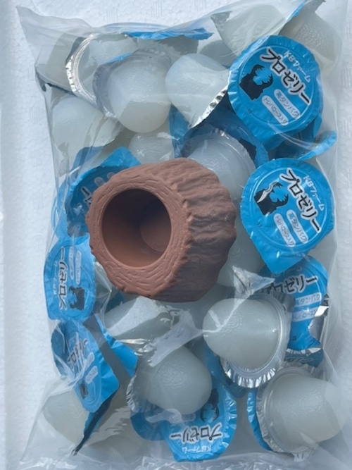 プロゼリー　16ｇ50個入り・ゼリーカップ付き