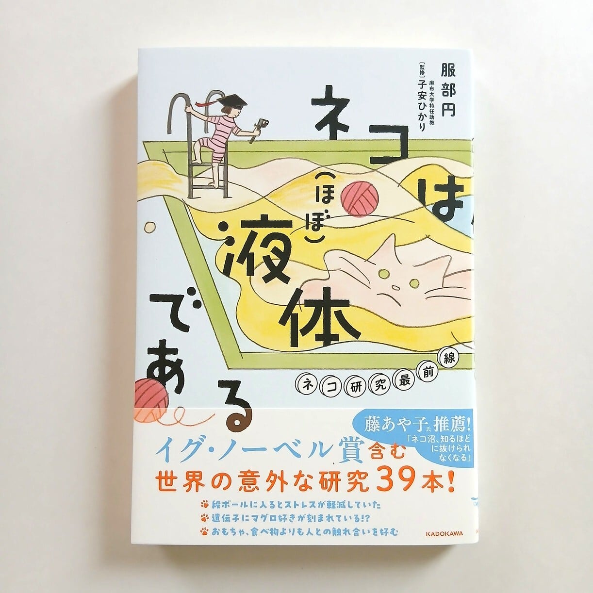 ネコは（ほぼ）液体である ネコ研究最前線 | ねこのみち