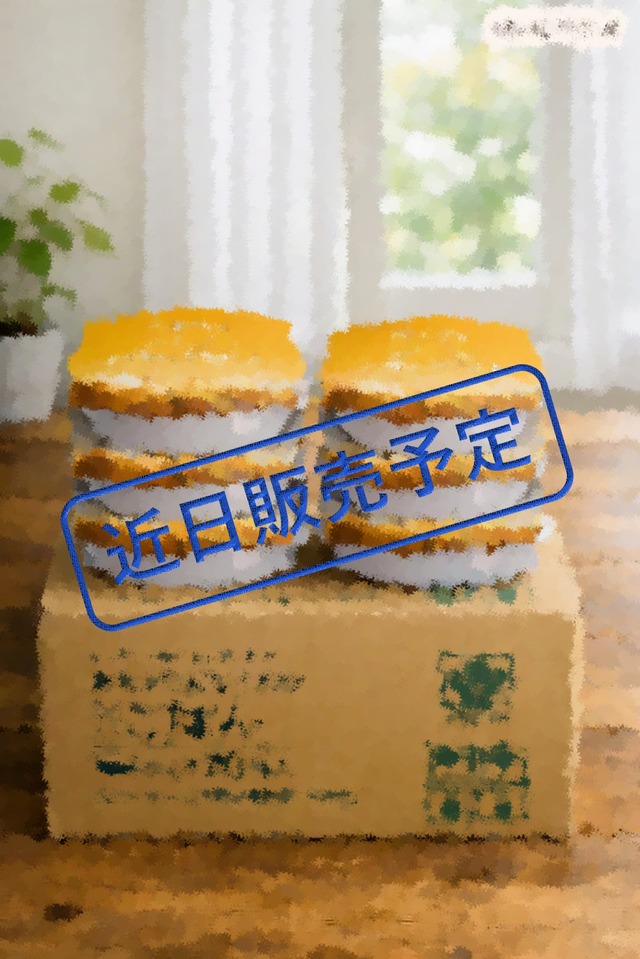 【箱売りパックごはん】ハツシモ令和7年度産・150g