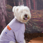 〈PUPPYGALLERY公式〉ハイキングフリースオールインワン 4XL-5XL