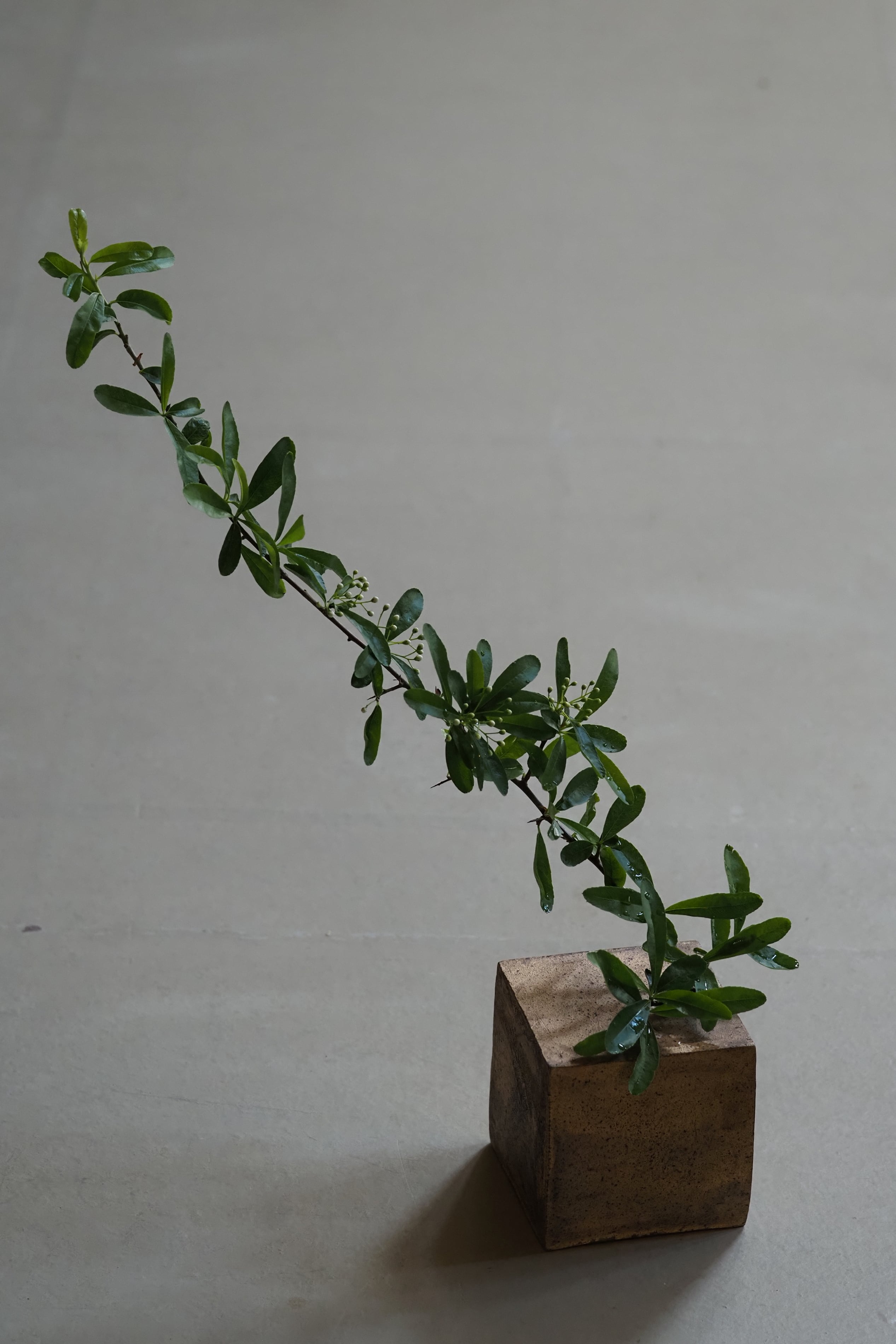 村上 躍 143.白灰化粧キューブ型掛花入 | 陶屋なづな