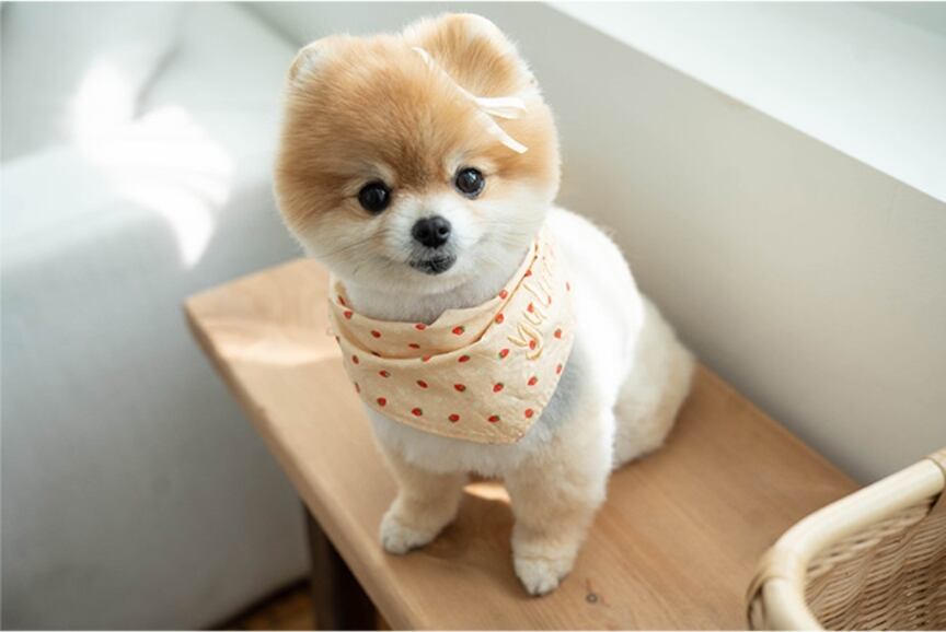 パッチワークなキルトわんちゃんパネル生地 ハンドメイド 柴犬トイプー