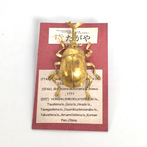 【たがや】 ピンバッジ「カブトムシ」