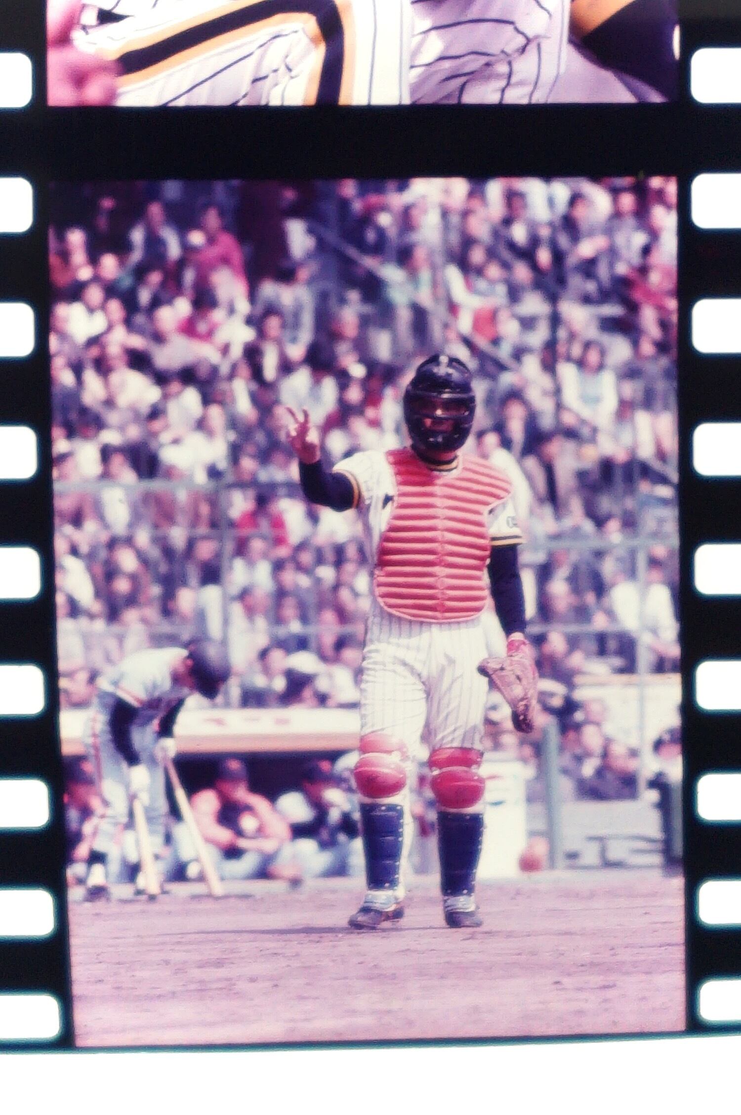 2450G2 吉田義男 田淵幸一 阪神タイガース 1970年代 古写真 35mm ポジ