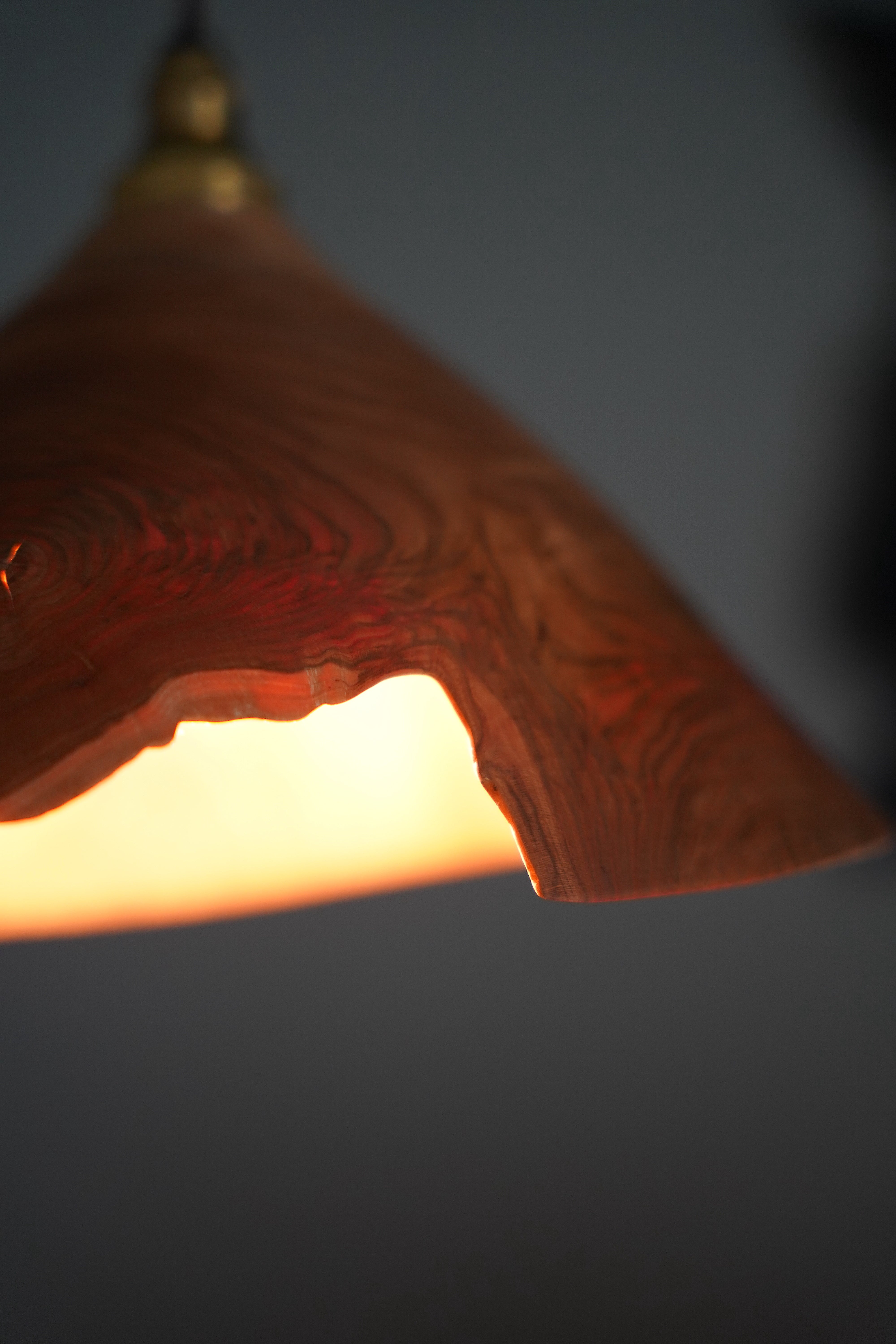 安藤萌 サクラの木 ランプシェード | DE OJAL omomuki