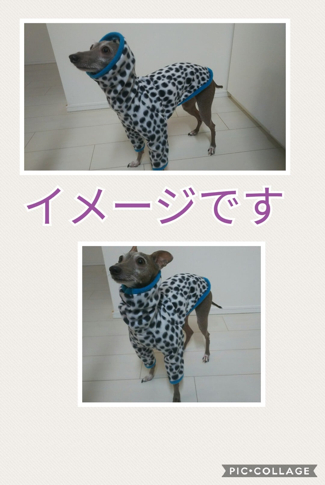 犬服 SS わんこの普段着　バンビ 犬服 SS わんこの普段着バンビ