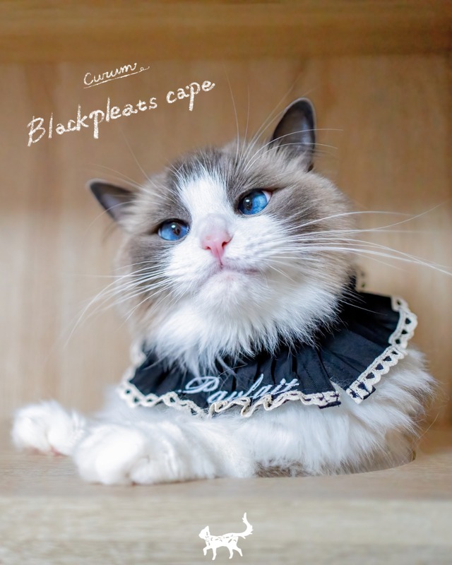 受注制作【curum】Black pleats cape 〔お名前item〕