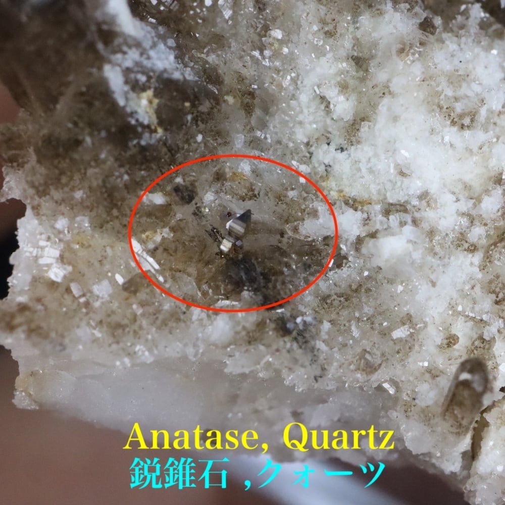 鋭錐石 in クォーツ アナテーズ 水晶 8,4g OTH167 鉱物 原石 天然石 パワーストーン