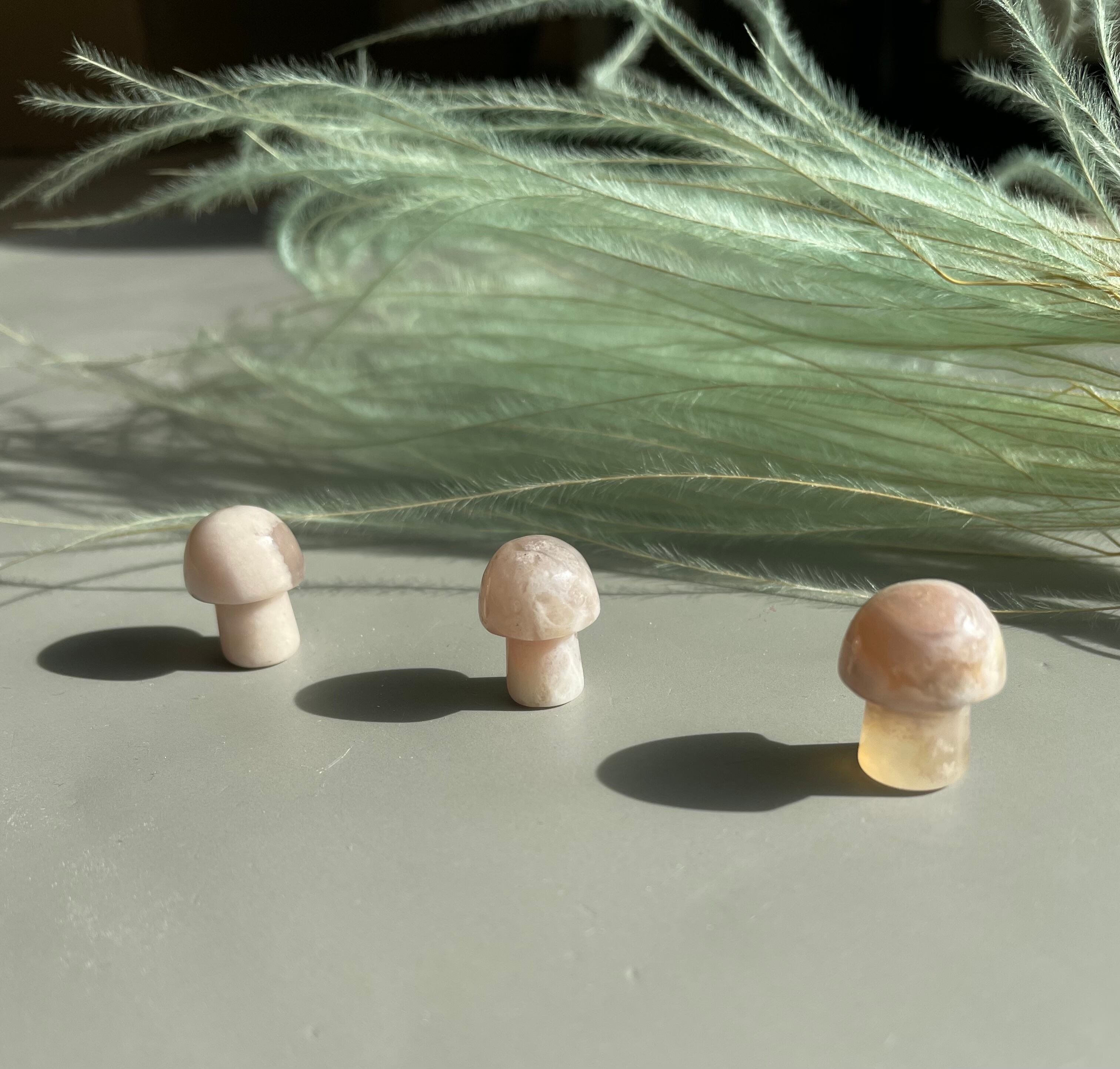 桜めのう　きのこ