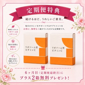 【2ヶ月に1回お届け】ビタミンCサプリメント2箱セット定期便