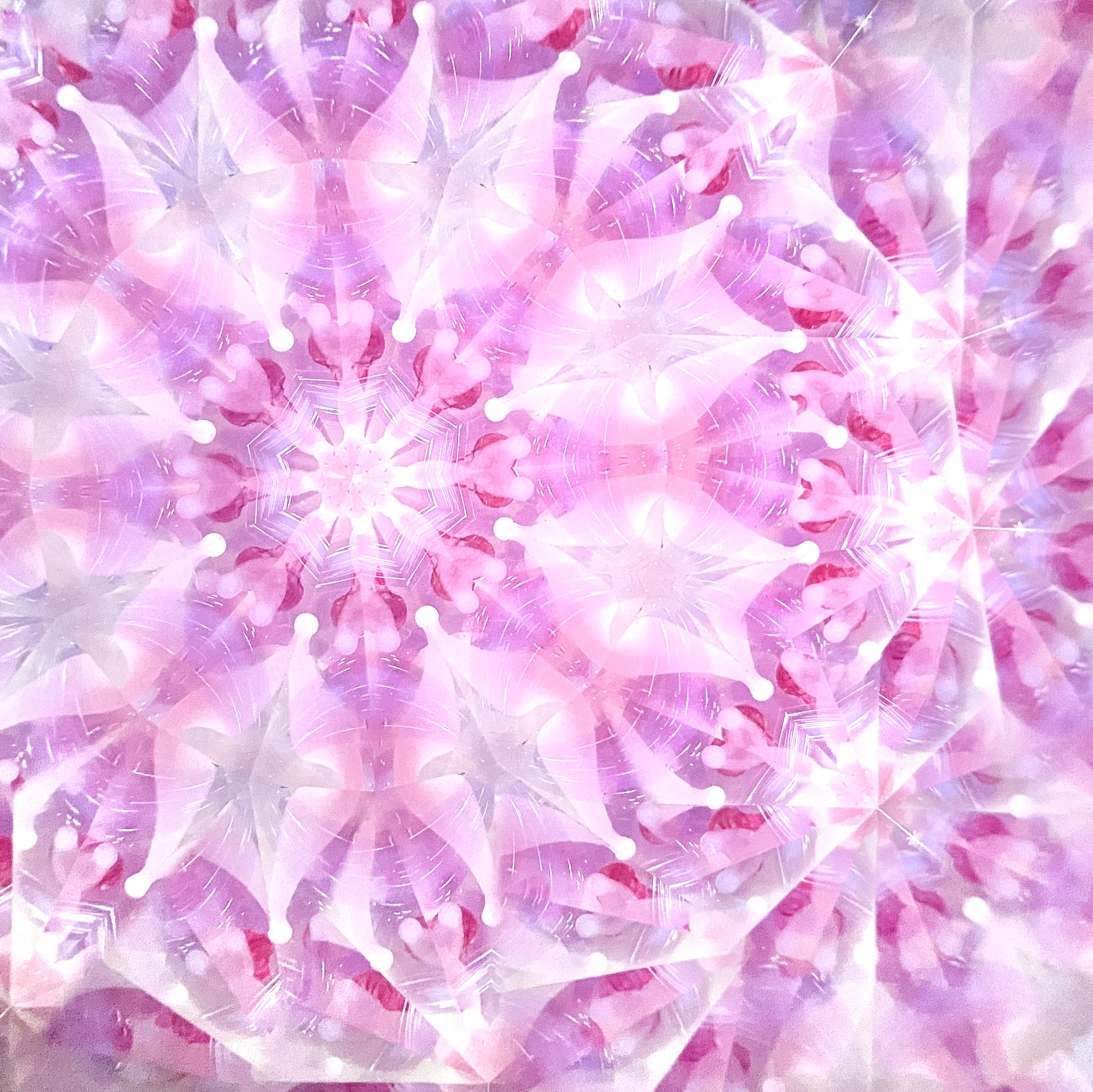 紫陽花の万華鏡「花舞う春色のそら」 | GlassNique（グラスニーク