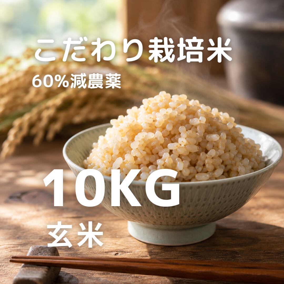 R8年産 冷めても美味しい こだわり栽培米 玄米 10kg