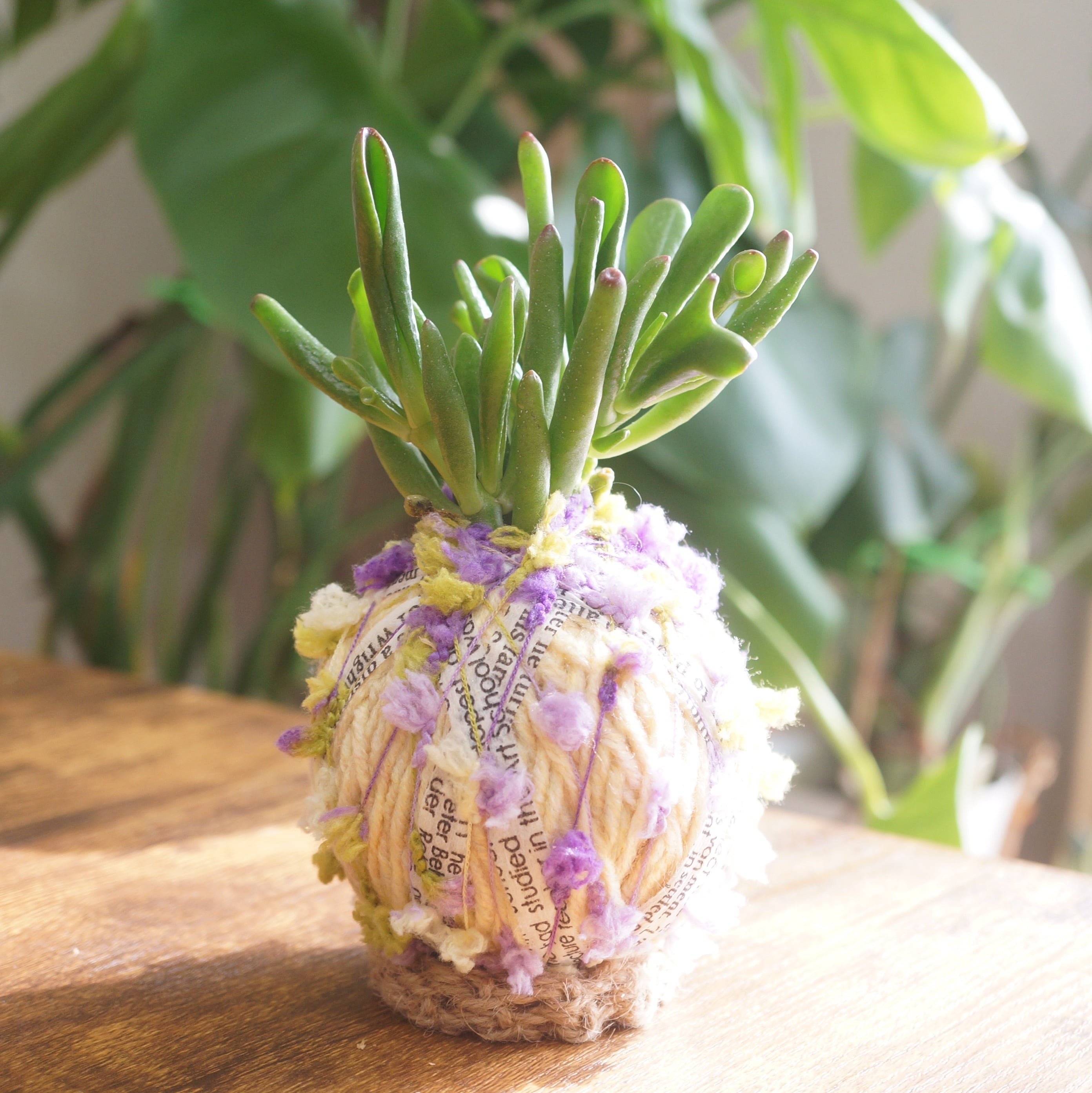 コロッコ | カンキチ工房 オンラインショップ//植物を枯らしてしまう