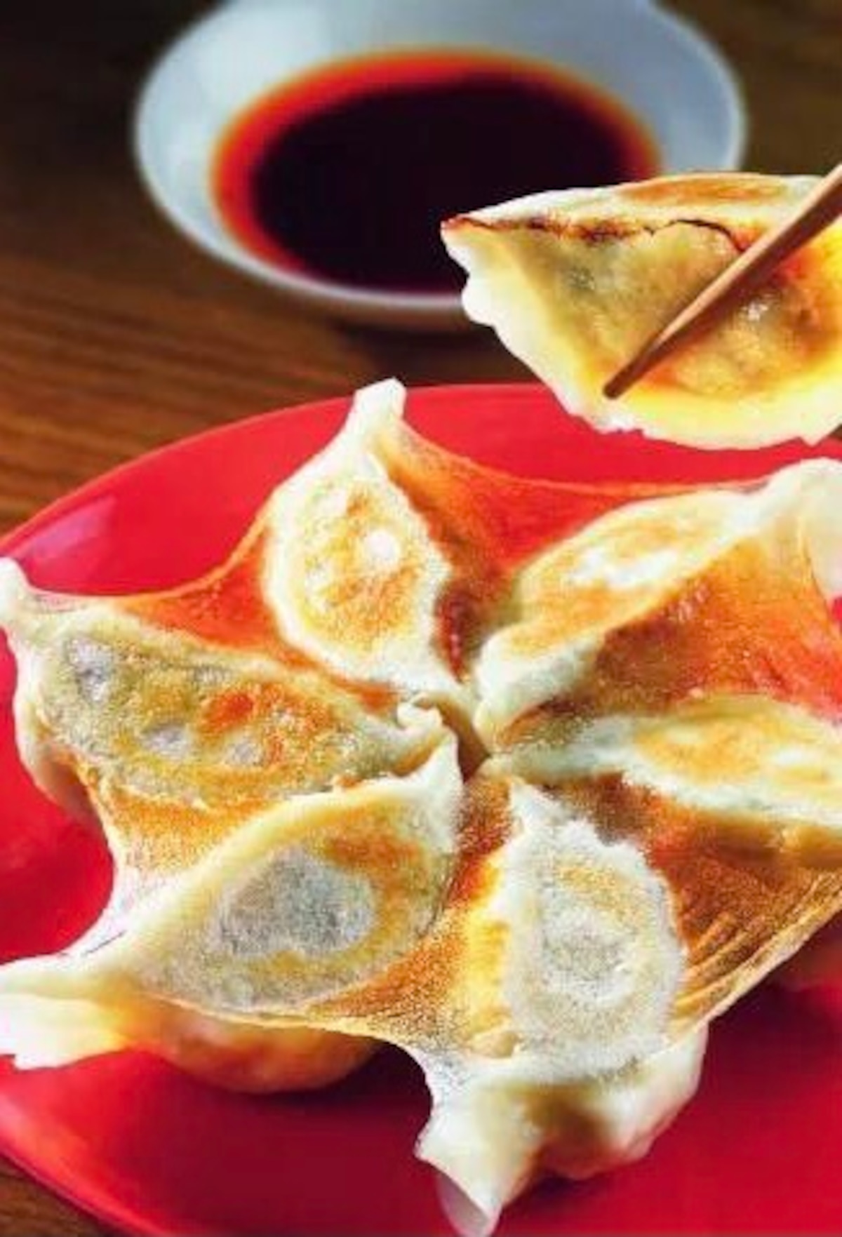 蓮 月 餃子