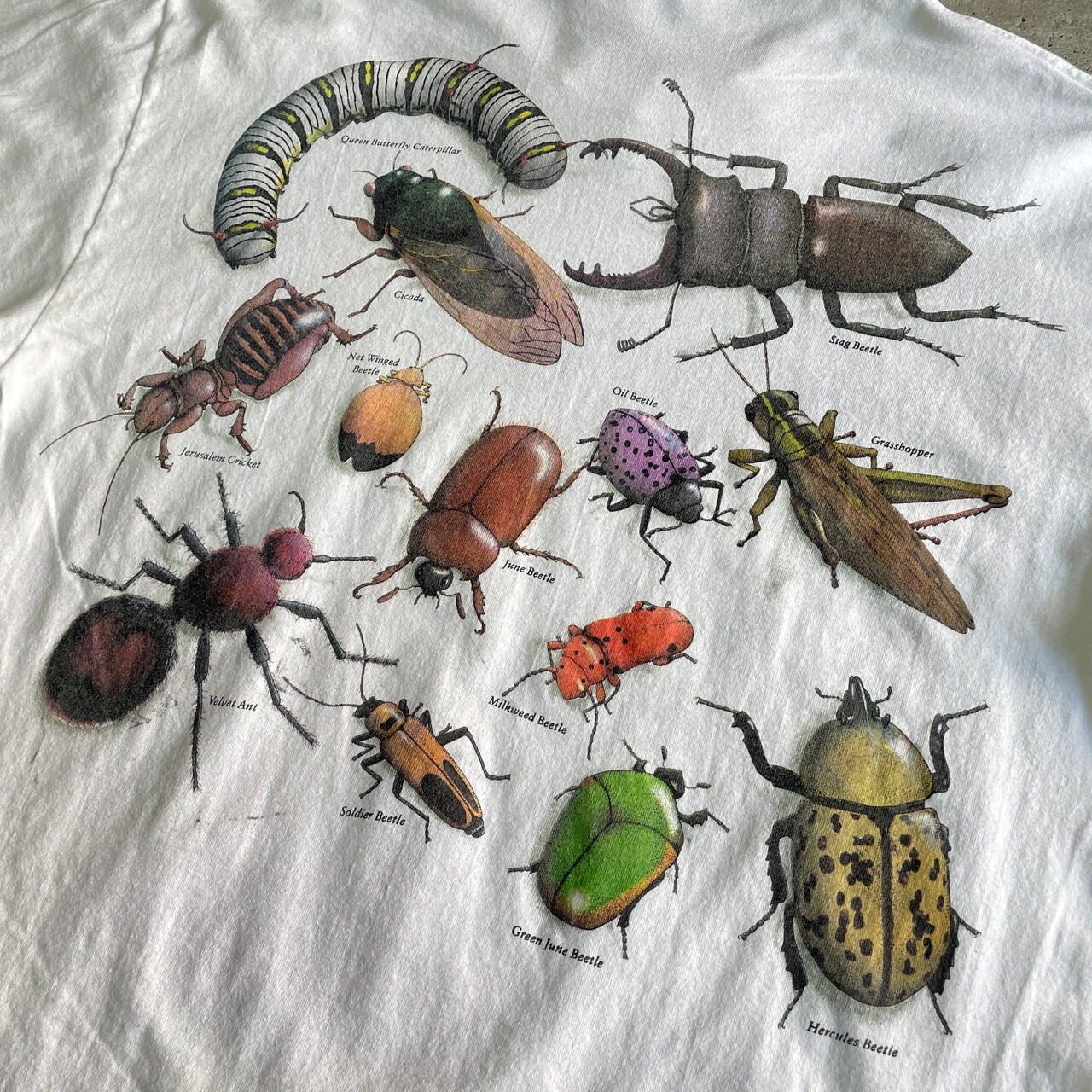 90年代 USA製 昆虫 アートプリントTシャツ メンズL 古着 90s 