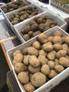 太田黒様専用　農産品セット