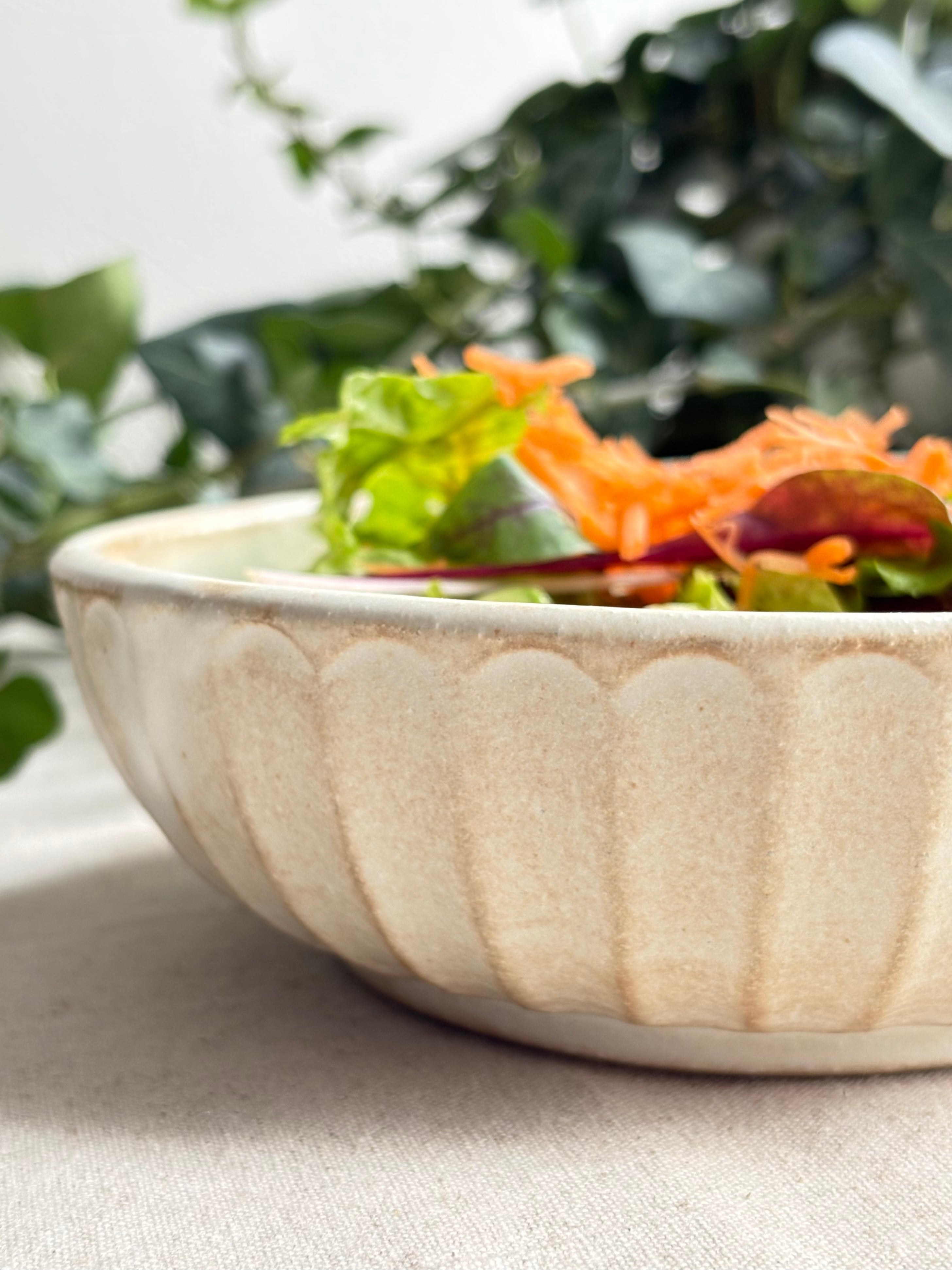 五寸浅鉢 kinari【益子焼】