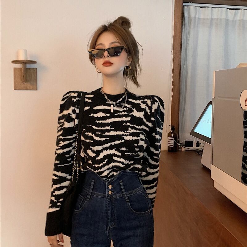 ゼブラパターンラウンドネックプルオーバーセーター女性2020年秋新しいスリムで薄い野生の長袖ニットトップ女性 ドラファッションホール78295321463