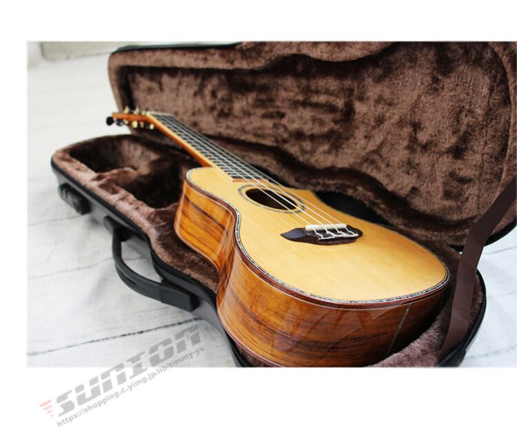 Ukulele Case ウクレレケース ウクレレ 楽器 ケース バッグ ABSケース