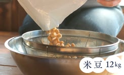 水煮大豆　米豆味噌キット12kg