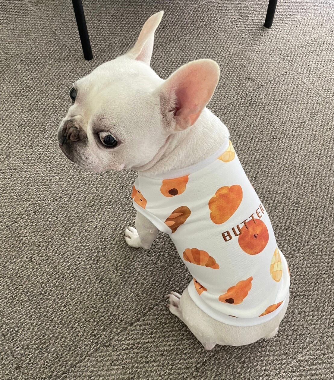 ぱん様犬服ハンドメイドオーダー品