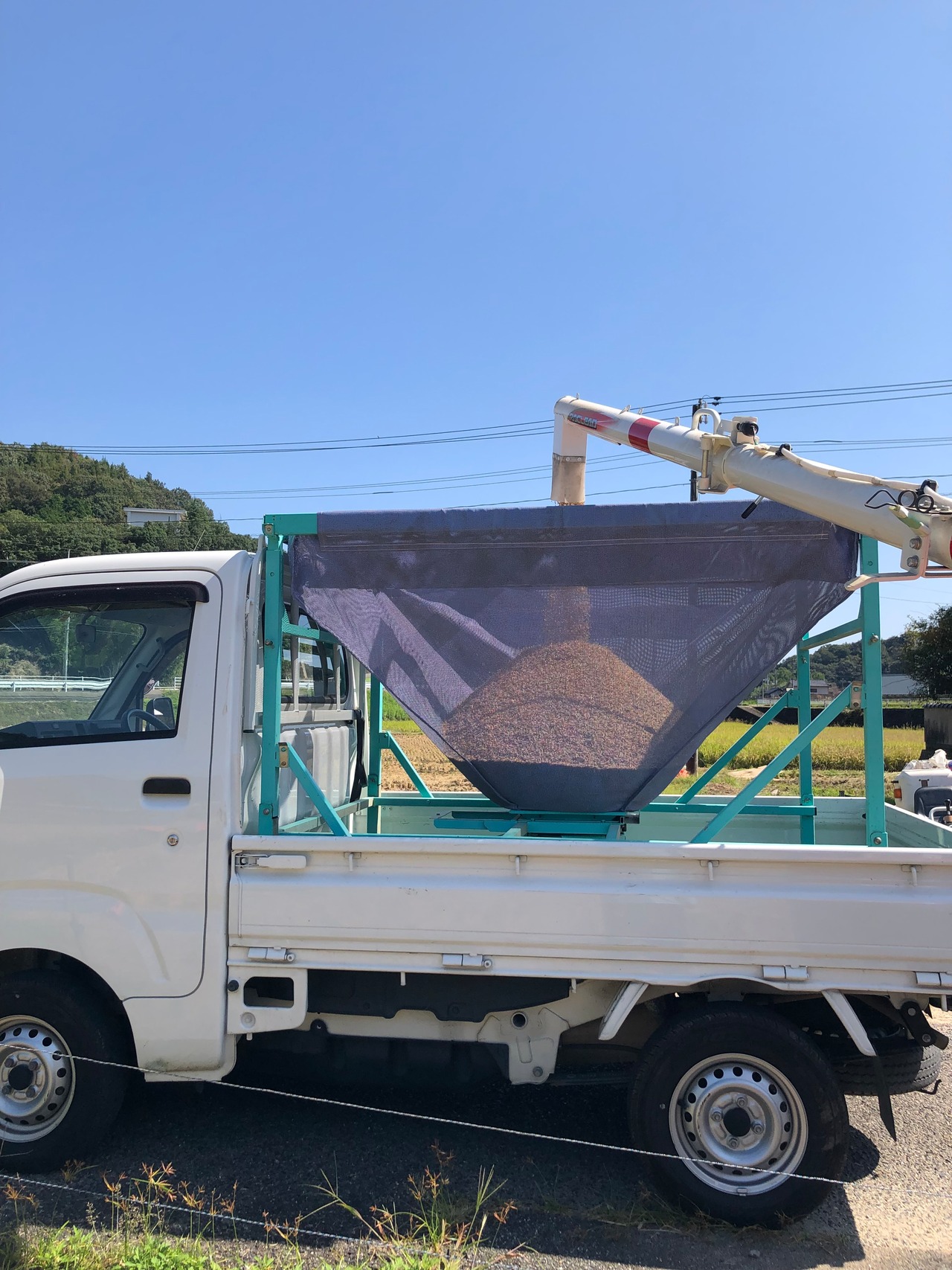 令和7年産広島三原産「恋の予感」玄米30kg（白米27キロ） | 梨羽の里 