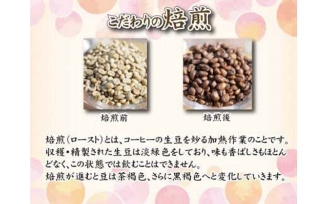 【お試し１回 400g】焙煎当日出荷スペシャリティコーヒー