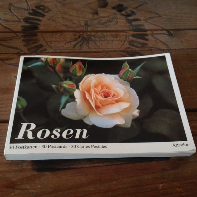Rosen 30 Postkartenバラのポストカードセット | .usagi