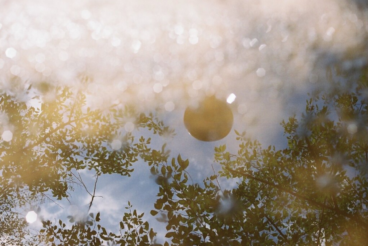 Karin 花梨ウッド Olympus Trip35　