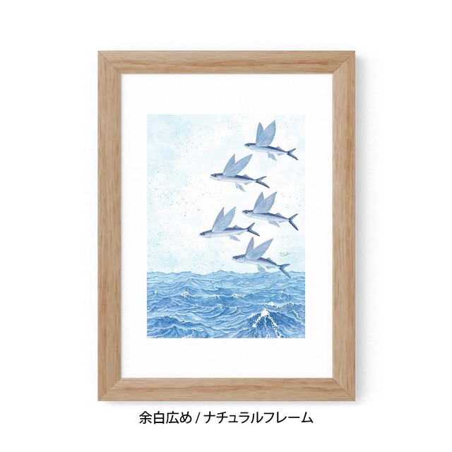 A5｜魚翔海図（ぎょしょうかいず）（フレームあり）