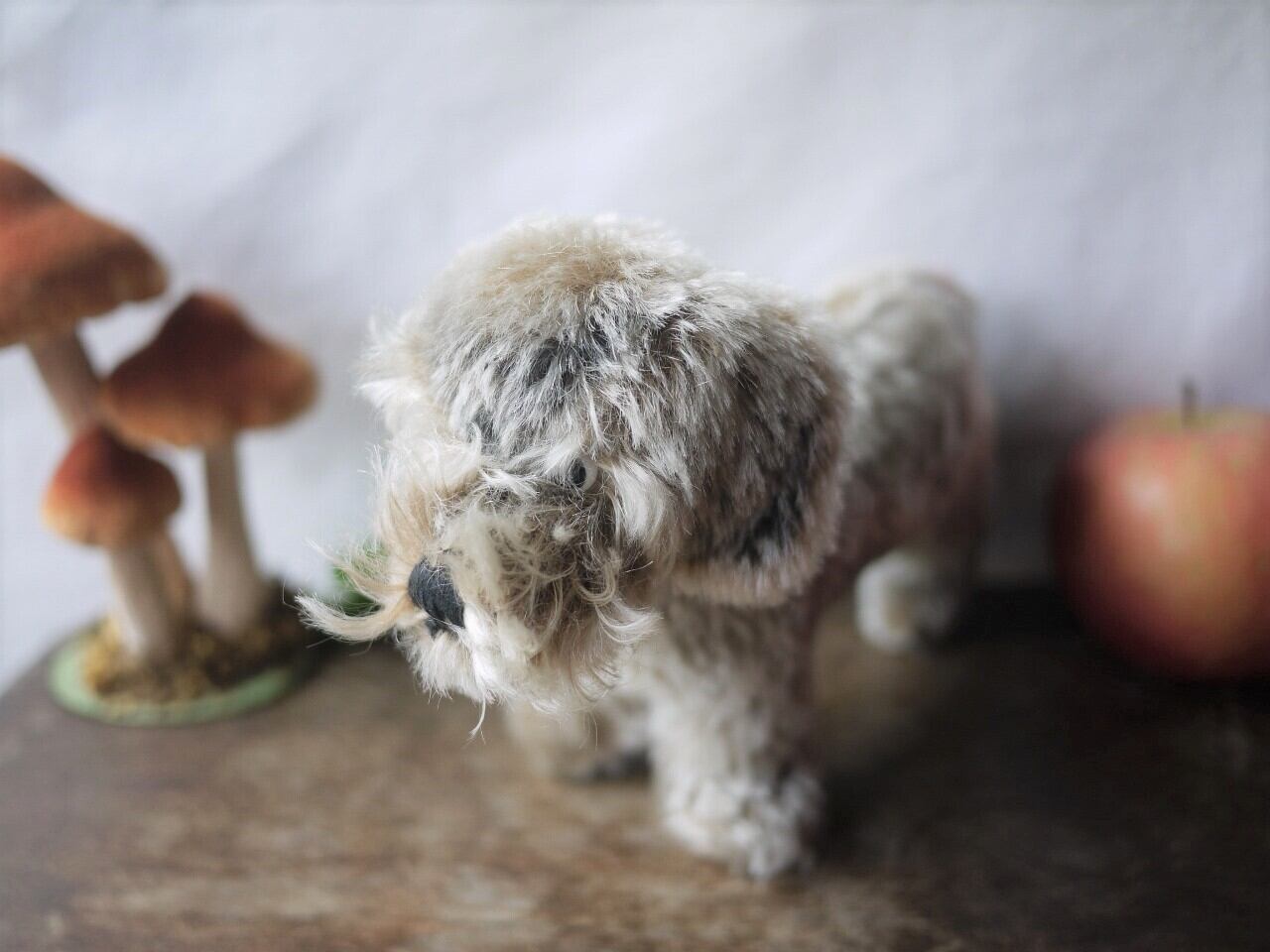 シュタイフ Raudi ワイヤーヘアーダックスフント ドイツ STEIFF | こり