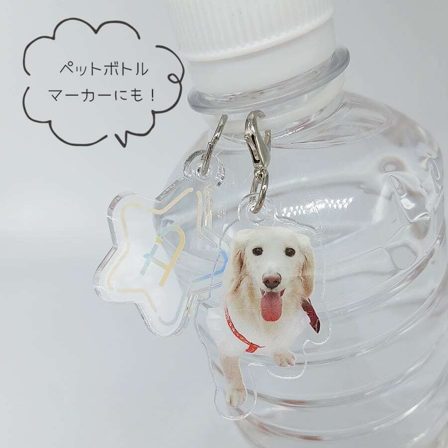 アンブレラマーカー 目印チャーム｜写真入り｜うちの子 ペット グッズ
