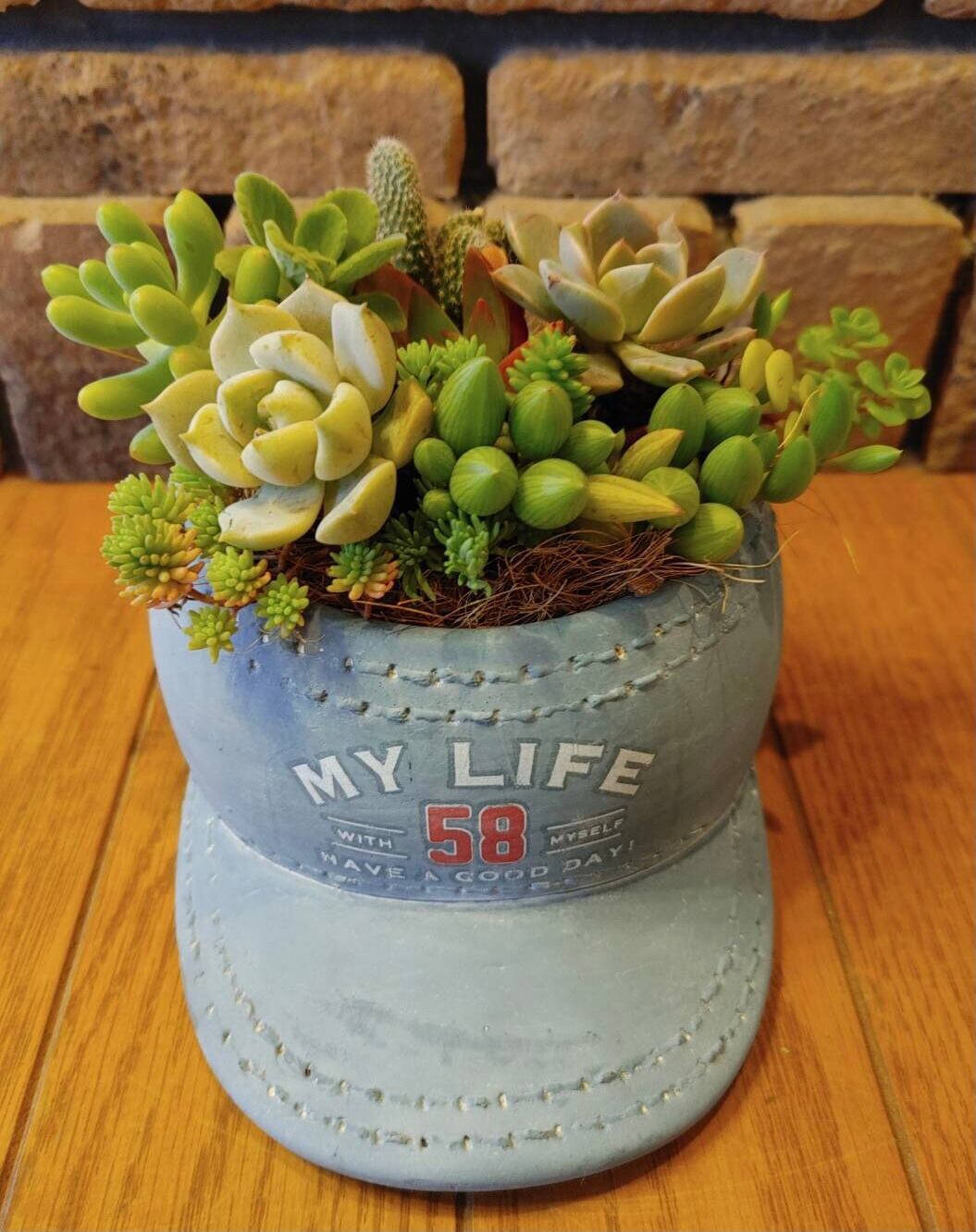 多肉植物 サキュレントキャップ グレー フラワーギフトのオンラインショップ 花と猫と私 By ハートフラワー